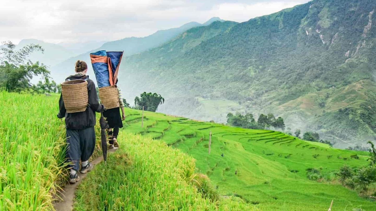 Trekking Sapa 4 Days Itinerary Sin Chai, Y Linh Ho, Ta Van Village